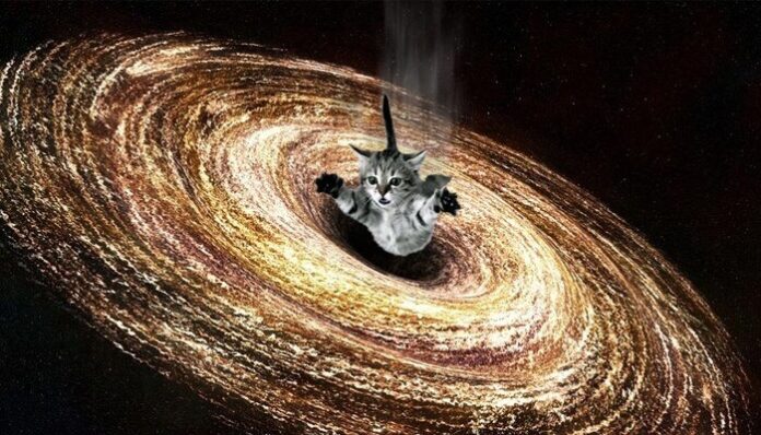 Kitty in Black Hole